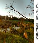 Landscape Panorama with Rainbow with rain clouds from Quincy Bluff, WIsconsin image - Free stock ...