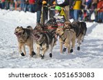 Small photo of Tongues waggle as an excited team of sled dogs run through snow-covered Anchorage streets for the Iditarod