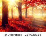 Autumn. Fall scene. Beautiful Autumnal park. Beauty nature scene. Autumn Trees and Leaves, foggy forest in Sunlight Rays 