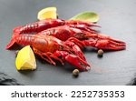 Small photo of Crayfish, Crawfish closeup. Red boiled crayfish with herbs and lemon on stone slate dark background. Crawfishes. Fresh Lobster closeup