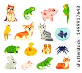 pets animals set. vector flat... | Shutterstock .eps vector #1499917643