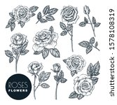 roses flowers set  vector... | Shutterstock .eps vector #1578108319