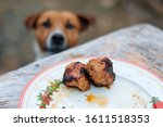 Small photo of Dog looking to served picnic table. Jack russel dog trying to scrounge a kebab from the table. Blurred photo, focus on meat