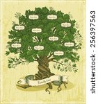 genealogical tree on old paper... | Shutterstock .eps vector #256397563