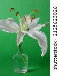 A Large White Lily Flower With...