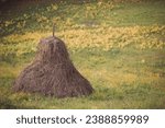 Small photo of close-up of a haystack in the farmyard on the Romanian Carpathian village. A stack of dry grass in the mountains. Landscape with three hayricks in Apuseni Mountains,Transylvania,Romania. Hay piles.