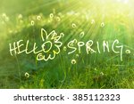 Dandelions dawn  with discription Hello Spring