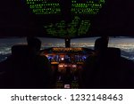 Two pilots are flying the airplane in final approach phase to the runway in night time. Cityscape and airport are seen outside cockpit. Pilots and airplane instruments are inside cockpit.