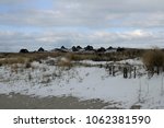 Thatched Houses In The Dunes...