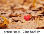 Small photo of Heart on autumn leaves. Infatuation, one-sided romantic love concept. Symbol of unrequited love victims of Valentine day. Beautiful autumn background, copy space.