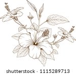hibiscus flowers vector by hand ... | Shutterstock .eps vector #1115289713