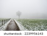 Melting snow and green grass on an agricultural field in Europe. Footpath leading to a lone tree, dense foggy weather, no people.