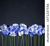 Pansy Flower Bouquet. Blue...