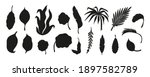 black silhouettes of tropical... | Shutterstock .eps vector #1897582789