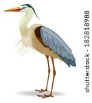 Great Blue Heron Free Stock Photo - Public Domain Pictures