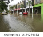 Small photo of PAHANG MALAYSIA-JAN 03, 2021 : Bukit Rangin when Pahang river unable to accommodate water level the impact of illegal logging in (98 matches)