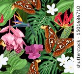 large exotic butterflies ... | Shutterstock .eps vector #1501686710