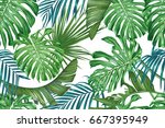 tropical leaves. palm and... | Shutterstock .eps vector #667395949