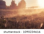 foggy morning in rural field at sunrise. natural summer (spring) background