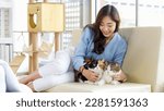 Small photo of Millennial Asian young kindly cheerful female owner sitting on cozy sofa couch smiling holding hugging cuddling two short hair cute little domestic kitten furry purebreed pussycat pet friend at home.