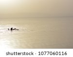 Swimming In The Dead Sea In...