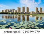 The skyline of a waterfront city, the reflection of urban buildings, and the reflection of the water surface of the lotus pond