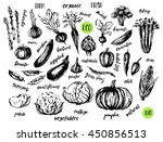 ink sketch of vegetables with... | Shutterstock .eps vector #450856513