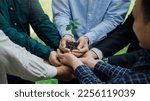 Small photo of Group of business hands holding young plant on blur green nature background.World environment day. Global community teamwork.Volunteer charity work.