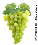 Green Grapes Isolated On The...