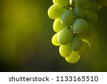 Bunch Of White Grapes Hanging...