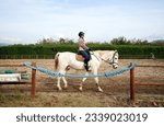 Small photo of Woman Riding A White Horse. Horseback Riding. Dressage horse in training, Dressage horse in the arena.