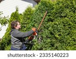 Male gardener in uniform using electric hedge cutter for work outdoors. Man shaping overgrown thuja during summer time. Gardening at summer. Standing on the ladder. Close-up.