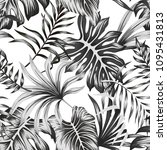 tropical  black and white palm... | Shutterstock .eps vector #1095431813