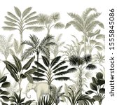 tropical vintage botanical... | Shutterstock .eps vector #1555845086
