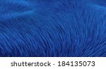 Blue Fur Background 4