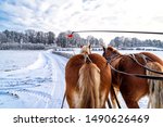 Sleigh Ride In The Snow In...