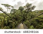 Bridge In The Jungle