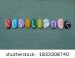 Small photo of Resilience, the ability to be happy or successful again after something difficult or bad has happened. Creative handmade multicolored stone letters of resilience text over green sand