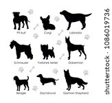 Black Silhouettes Of Dogs On A...
