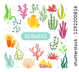 seaweeds. vector illustration... | Shutterstock .eps vector #1292200816