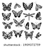 Butterfly. Silhouette Icons Set ...