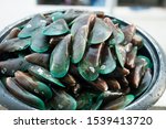 Green Mussels Are Sea Creatures ...