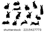 Isolated Rabbit Shadow On White ...
