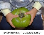 Small photo of baby posing with organic black sapote, which has vitamin a and c