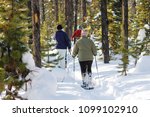Active family snow shoes trail through backlight pine tree forest during winter.
