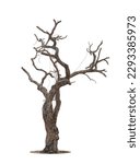 Small photo of Dead tree isolated on a white background, clipping path.