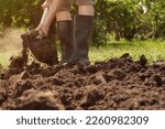Small photo of Tillage. Farmer digging in garden spade soil shovel digging spade grass. Gardener digging soil preparation. Man shoveling dirt shovel in ground. Gardening. Farming garden work in rubber boots farm