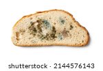 Small photo of Slice of spoiled bread isolated on a white background. Wheat bread piece with various kinds of mold cutout. Moldy fungus on rotten bread close-up. Biodegradable food waste concept. Top view.