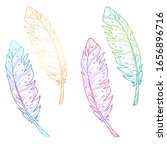 Set Of Multicolored Feathers....