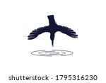 Kingfisher Bird Logo  The...
